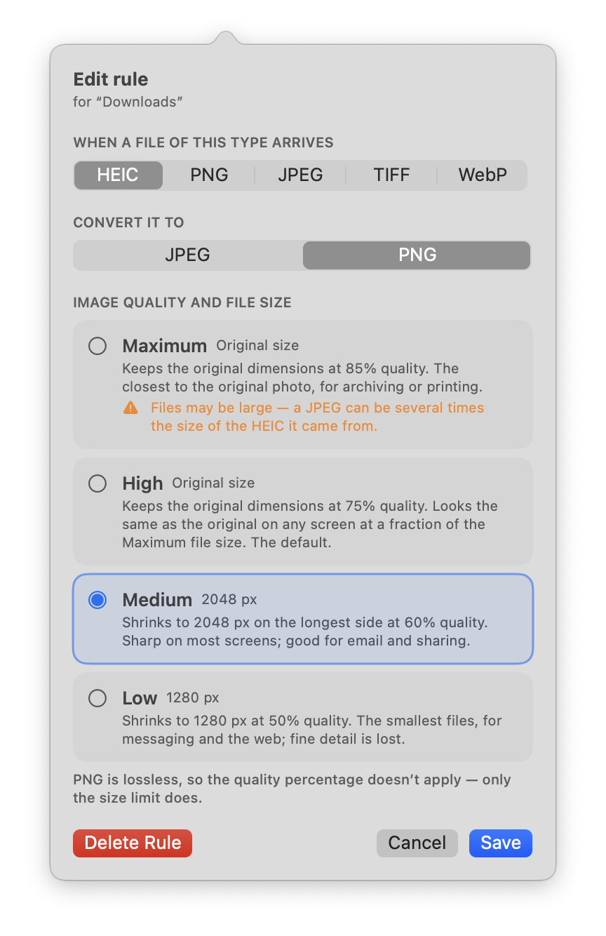 The rule editor: input type, output format, and the Maximum, High, Medium and Low quality presets